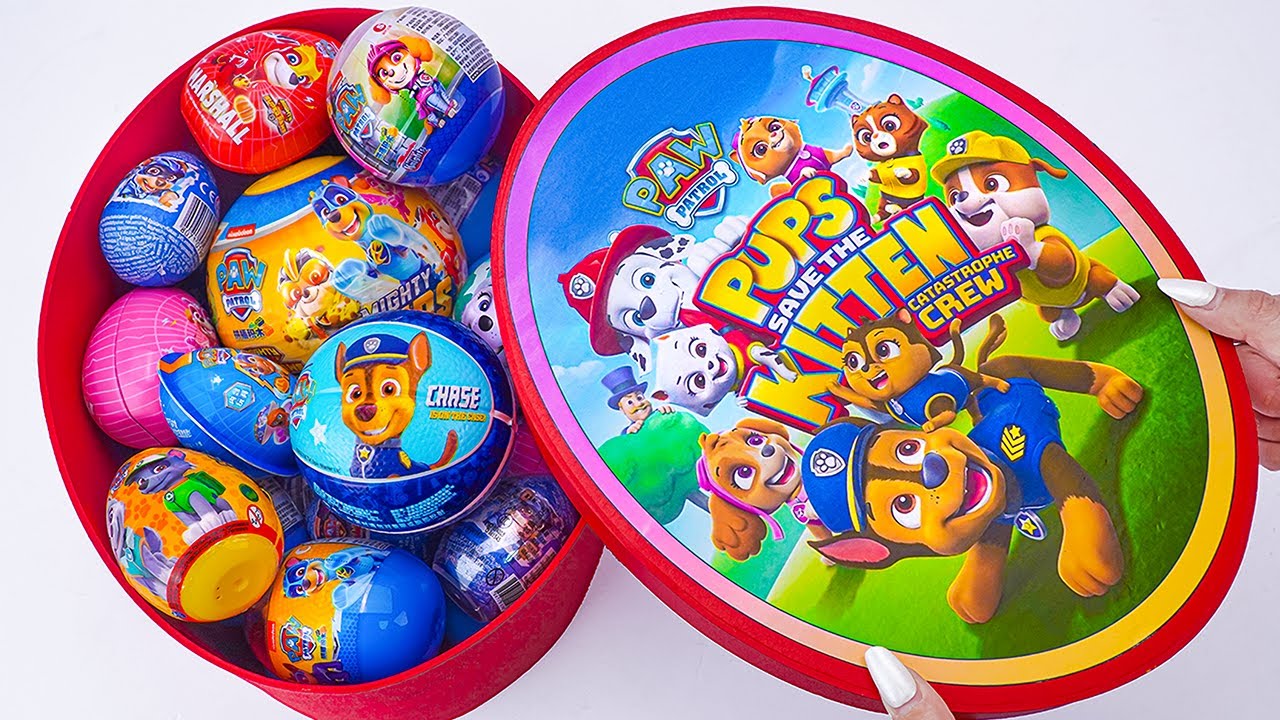 ASMR Paw Patrol Surprise Toys Collection Unboxing 🐾🎁 What's Inside the Mystery Egg Box?