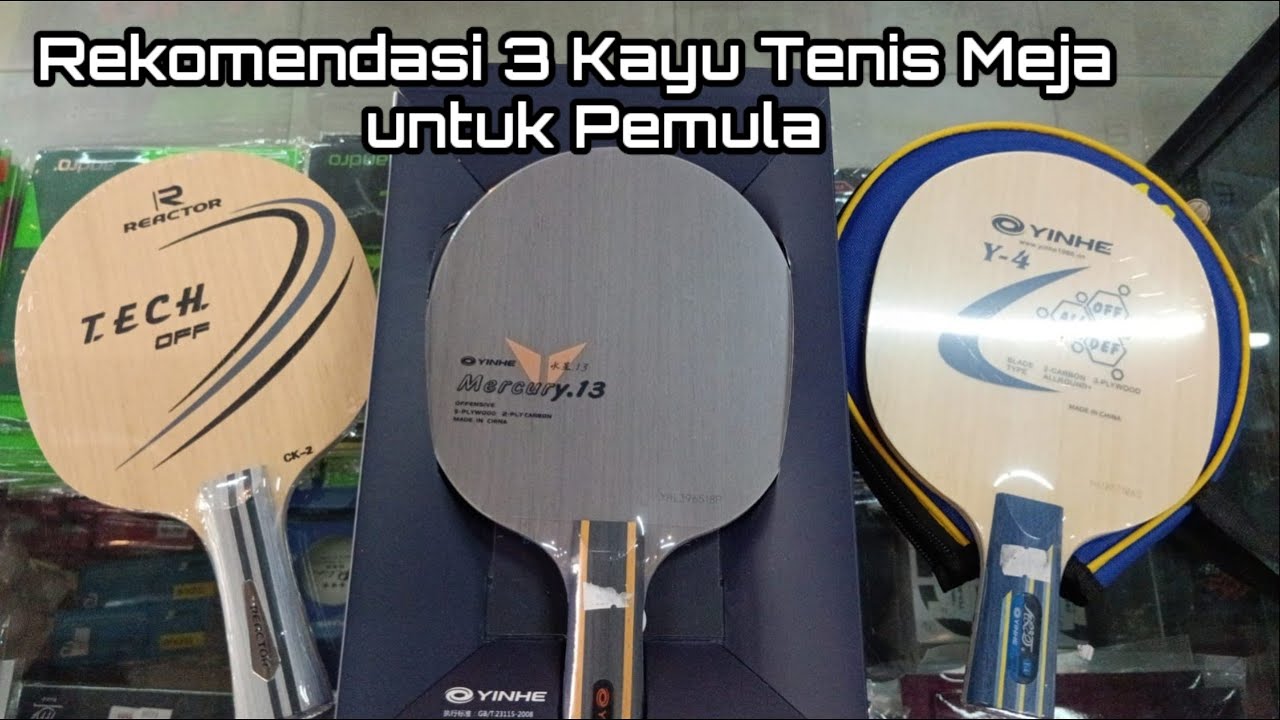 Rekomendasi 3 Kayu Bet Tenis Meja untuk Pemula