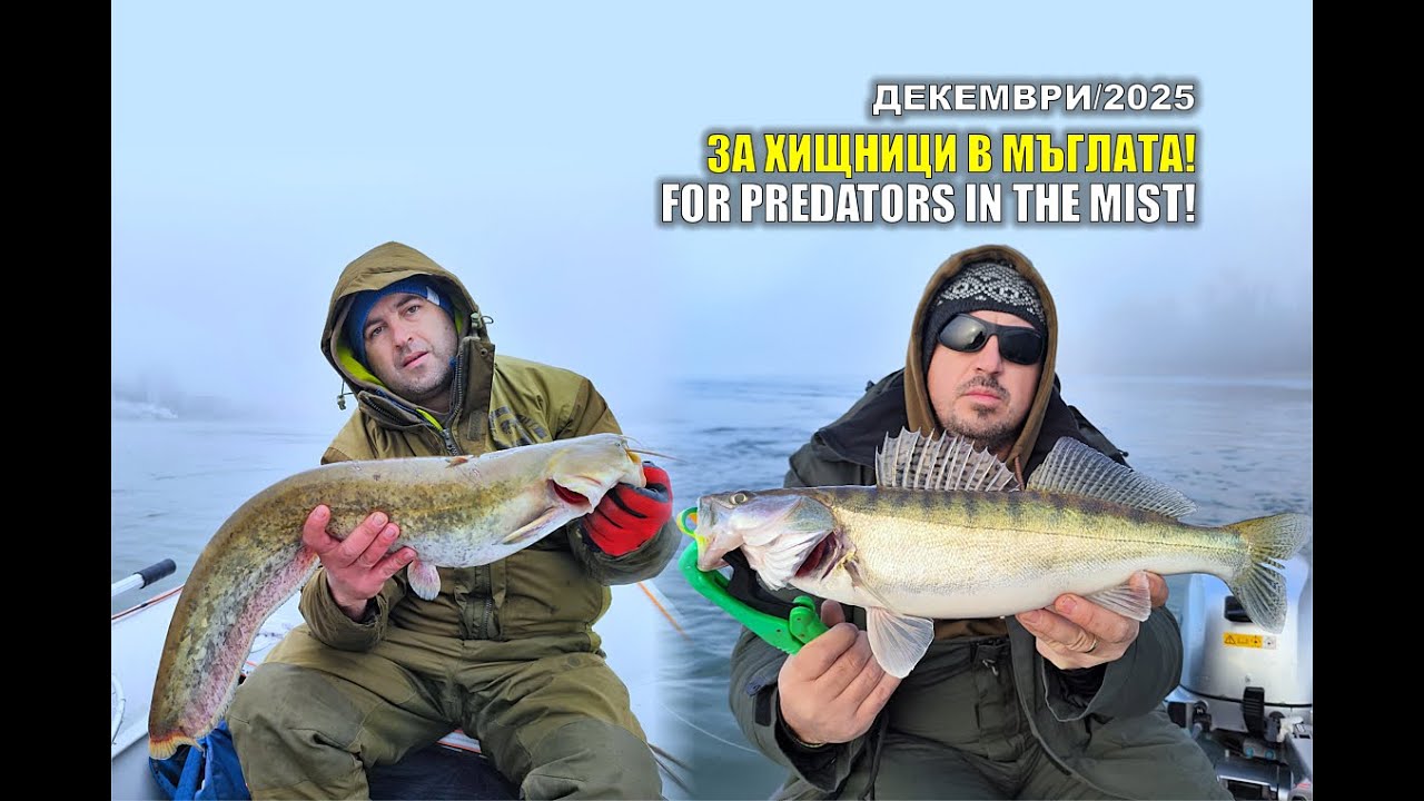 ЗА ХИЩНИЦИ В МЪГЛАТА НА РЕКА ДУНАВ! PREDATORS IN THE MIST ON DANUBE LAKE