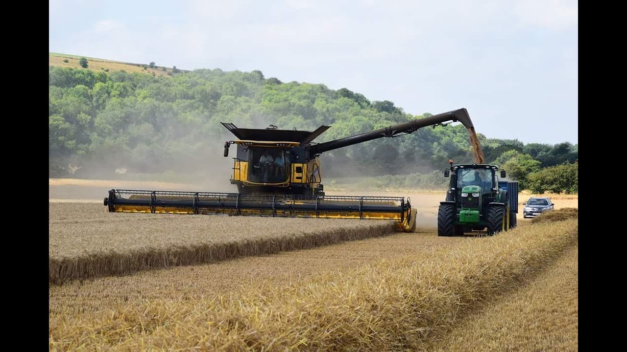 New Holland CR10.90 Harvesting Wheat 2018