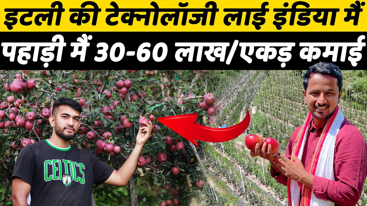 पुरे 50 साल तक होती हैं मालामाल कमाई | Modern Apple Farming Profit & Business A to Z | Indian Farmer