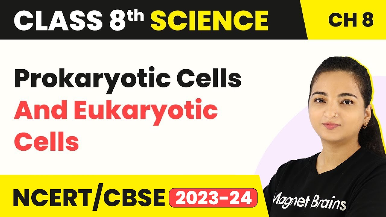 Class 8 Science Chapter 8 | Prokaryotic Cells and Eukaryotic Cells - Cell Structure and Functions