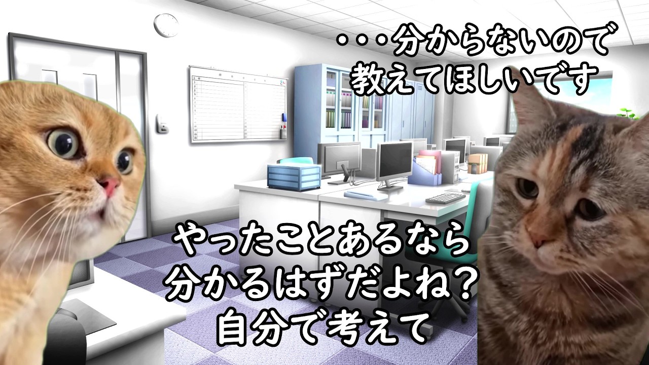【意外と大変】転職後困る事あるある【猫ミーム】