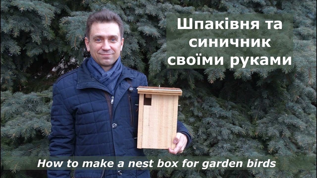 Шпаківня та синичник своїми руками