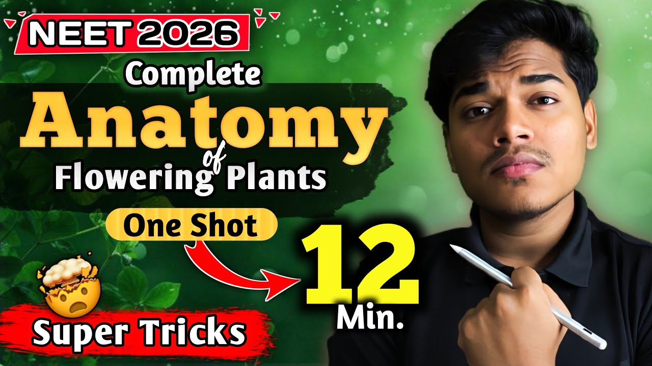 Anatomy of Flowering Plants One Shot | Biology One Shot | NEET | Class 11 | Tricks & PYQ