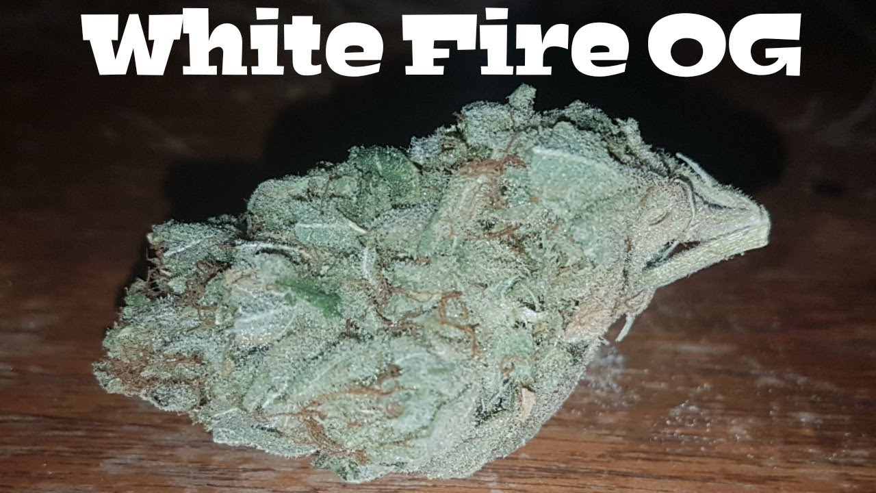 Strain Review - White Fire OG
