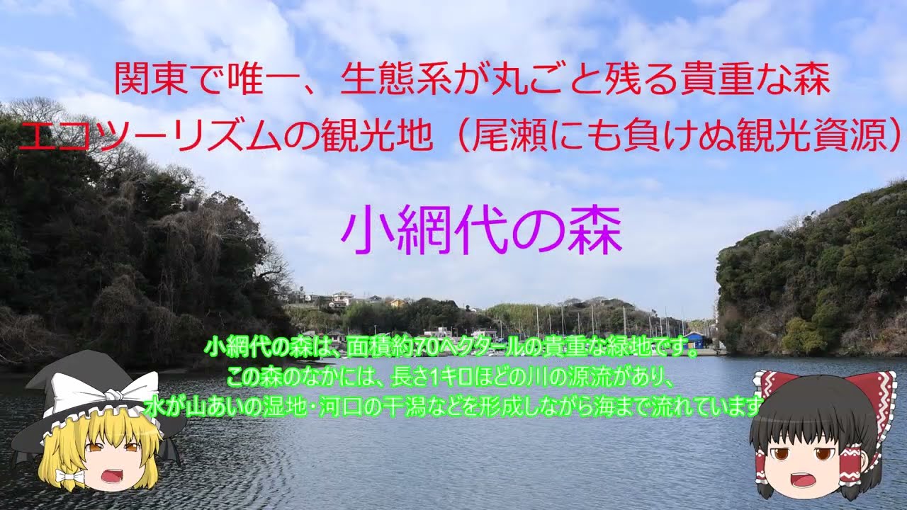 関東唯一の秘境小網代の森（集水域編）