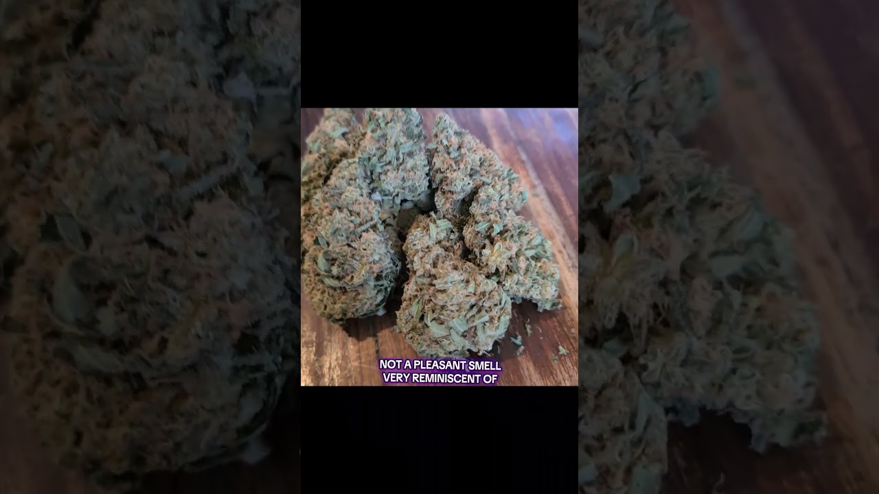Sky Berry Kush - Upstate SBK T25 Medical Cannabis UK #montu #alternaleaf #cannabis