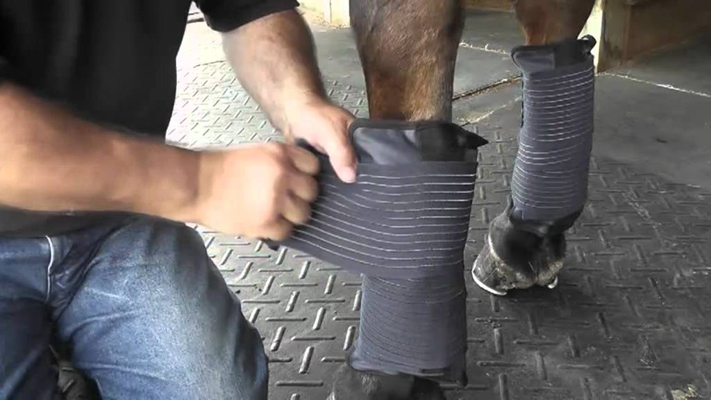 Tendon Thermo Therapy Gel-Pack Set.mp4