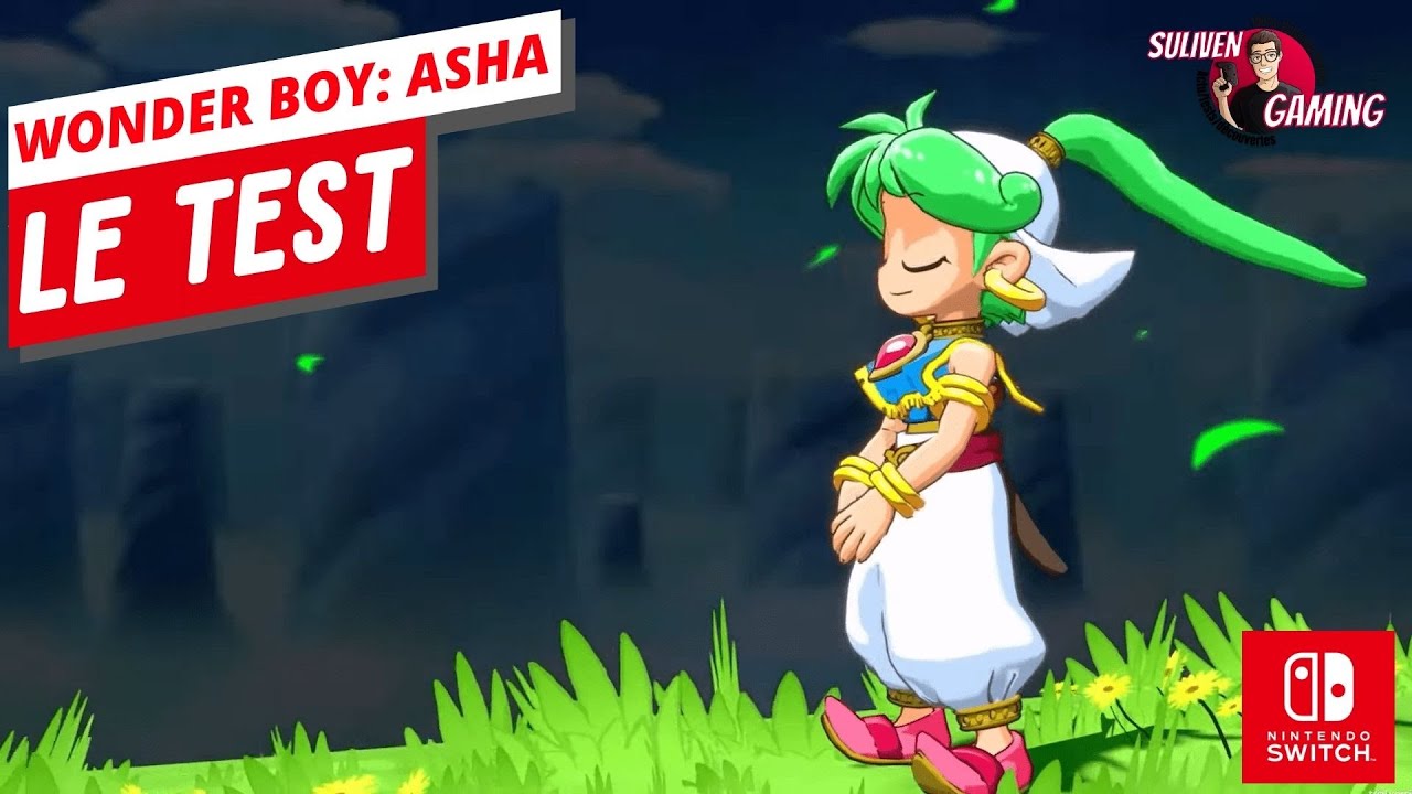 VIDEO TEST : WONDER BOY: ASHA IN MONSTER WORLD. Un remake opportuniste ?