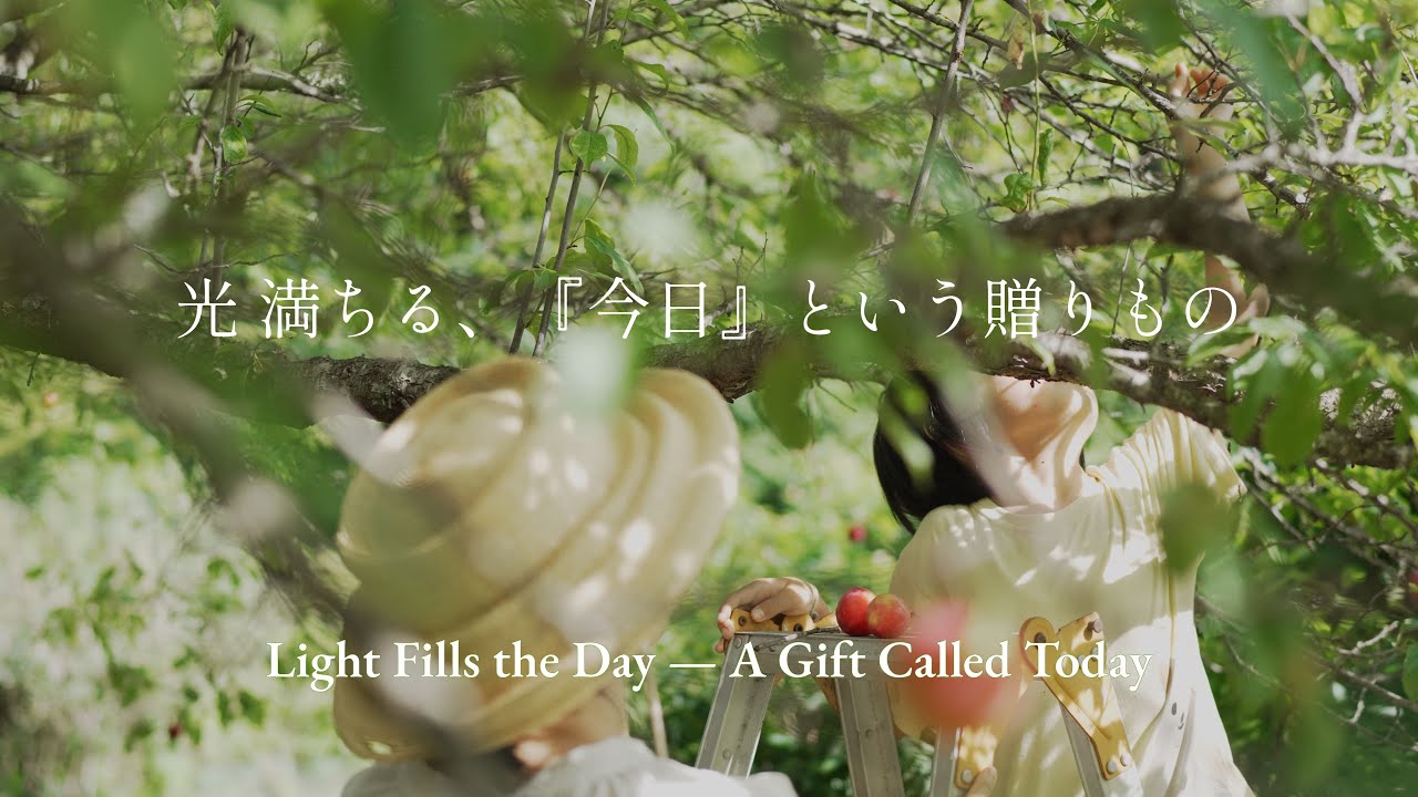 #2 Early Summer in the Japanese Countryside — Where Solstice Light Stirs Life into Motion