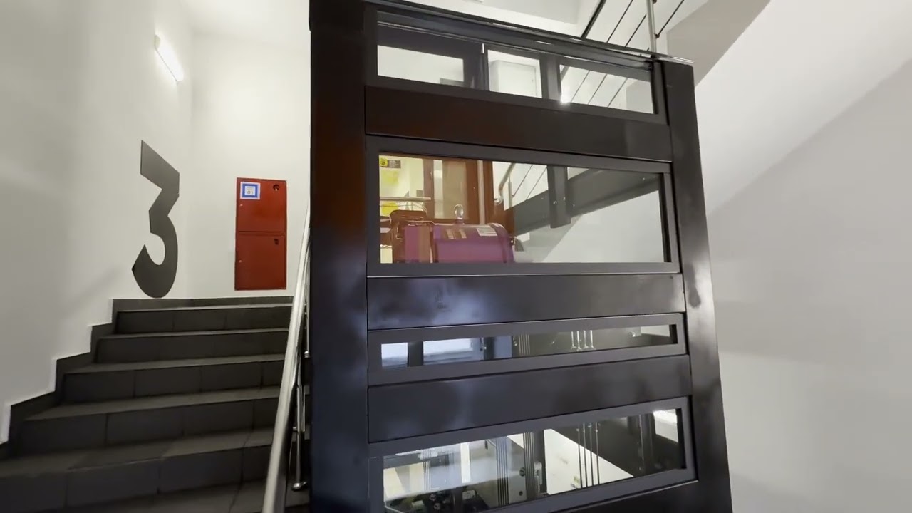 Необычный проект стеклянная шахта лифта в зоомедицинском пространстве