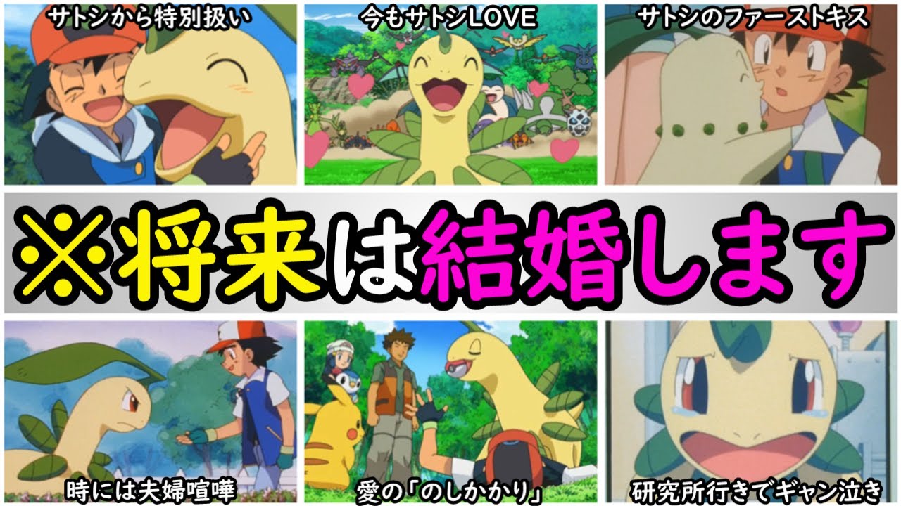 【熱々】サトシのNO.1嫁候補・ベイリーフの恋模様を徹底解説【22年もサトシLOVEを貫いてきたベイリーフを徹底紹介】『アニポケの歴史』