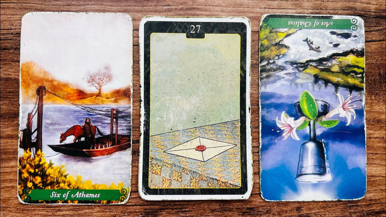 Persoana Asta Toxica Vrea Sa Revina!