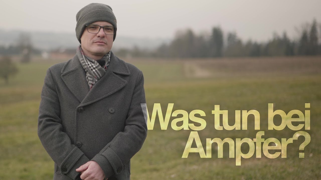 Gr&uuml;nland: Was tun bei Ampfer?