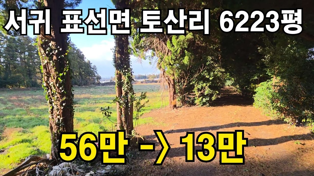 [경매] 서귀포시 표선면 토산리 이차선접 6223평 010 4436 0401 #제주도 부동산 토지 매매 #급매물
