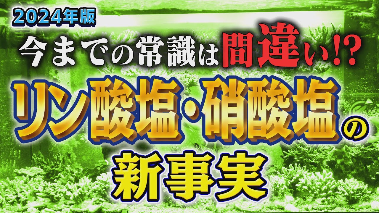 2024年版 リン酸塩・硝酸塩の考え方【2024年2月号 vol.3】