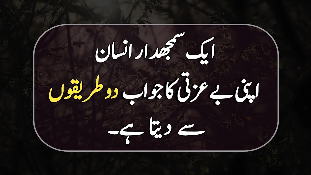 A Wise Person Responds to Disrespect in Two Powerful Ways | Life Lessons & Wisdom Quotes 