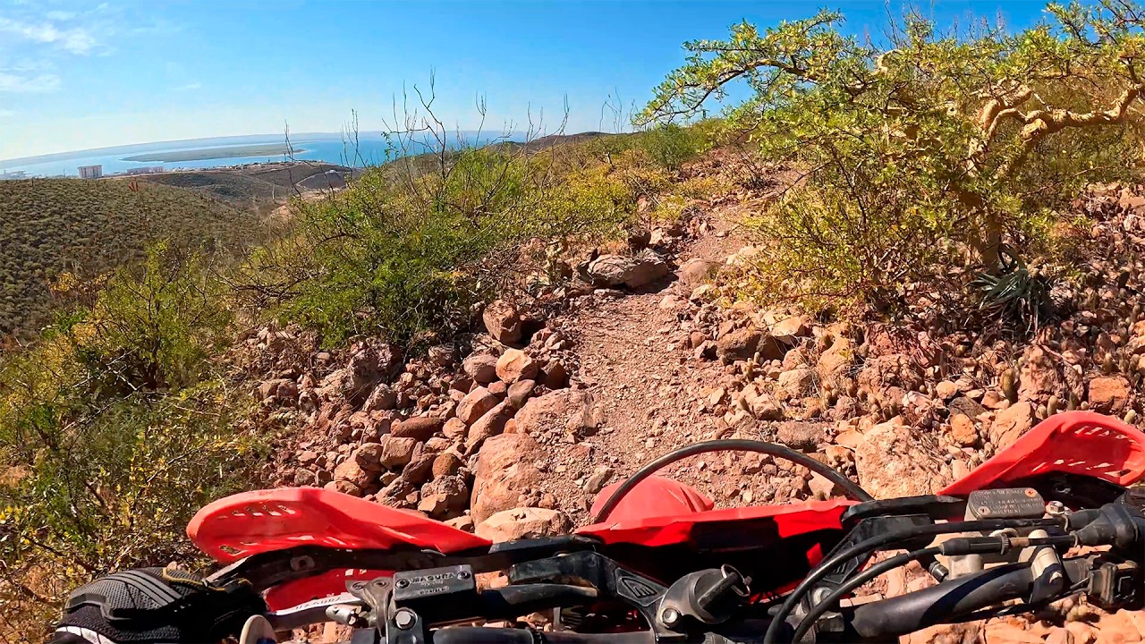 Enduro singletrack in La Paz, BCS. Honda CRF250RX