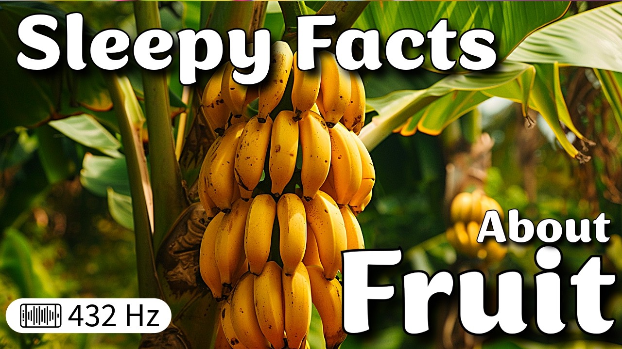 The Most Relaxing Facts About Fruit to Fall Asleep To