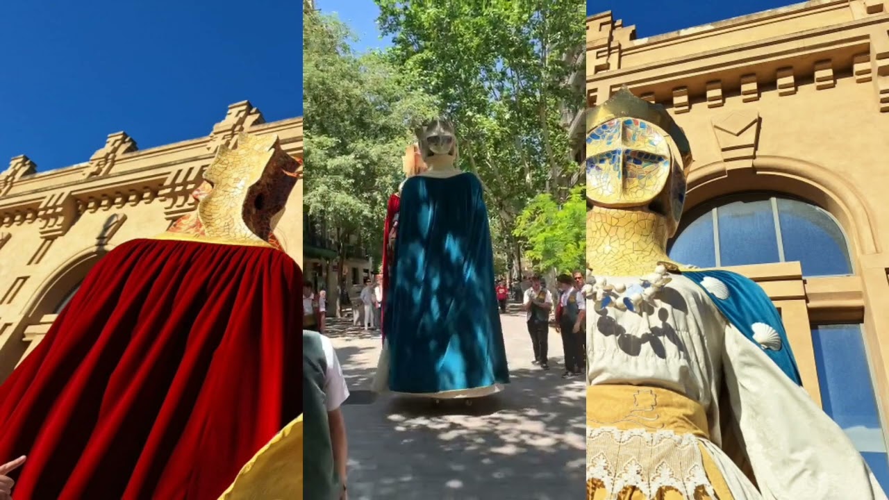 trobada de gegants de la pedrera 2024