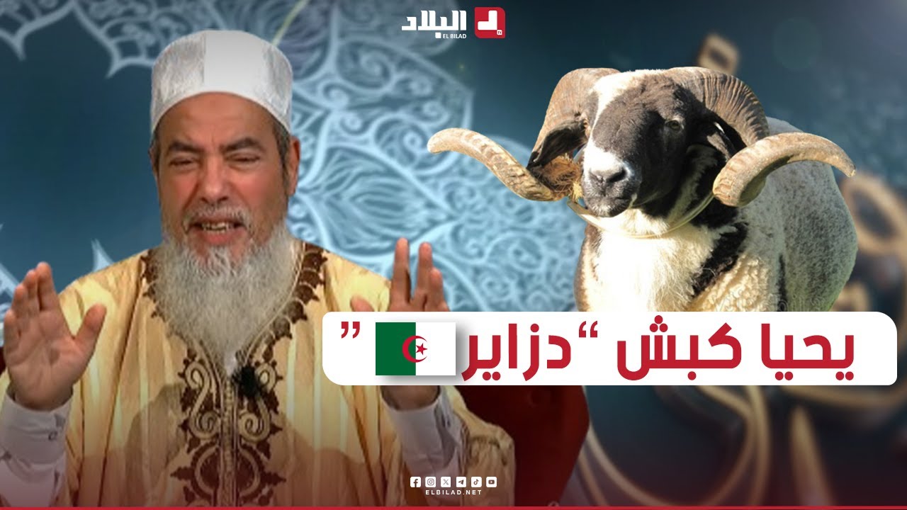 أرشدوني| الشيخ شمس الدين.. يبدي رأيه في 