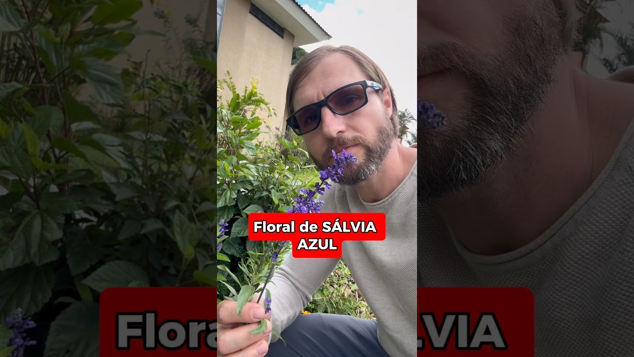 S&aacute;lvia azul