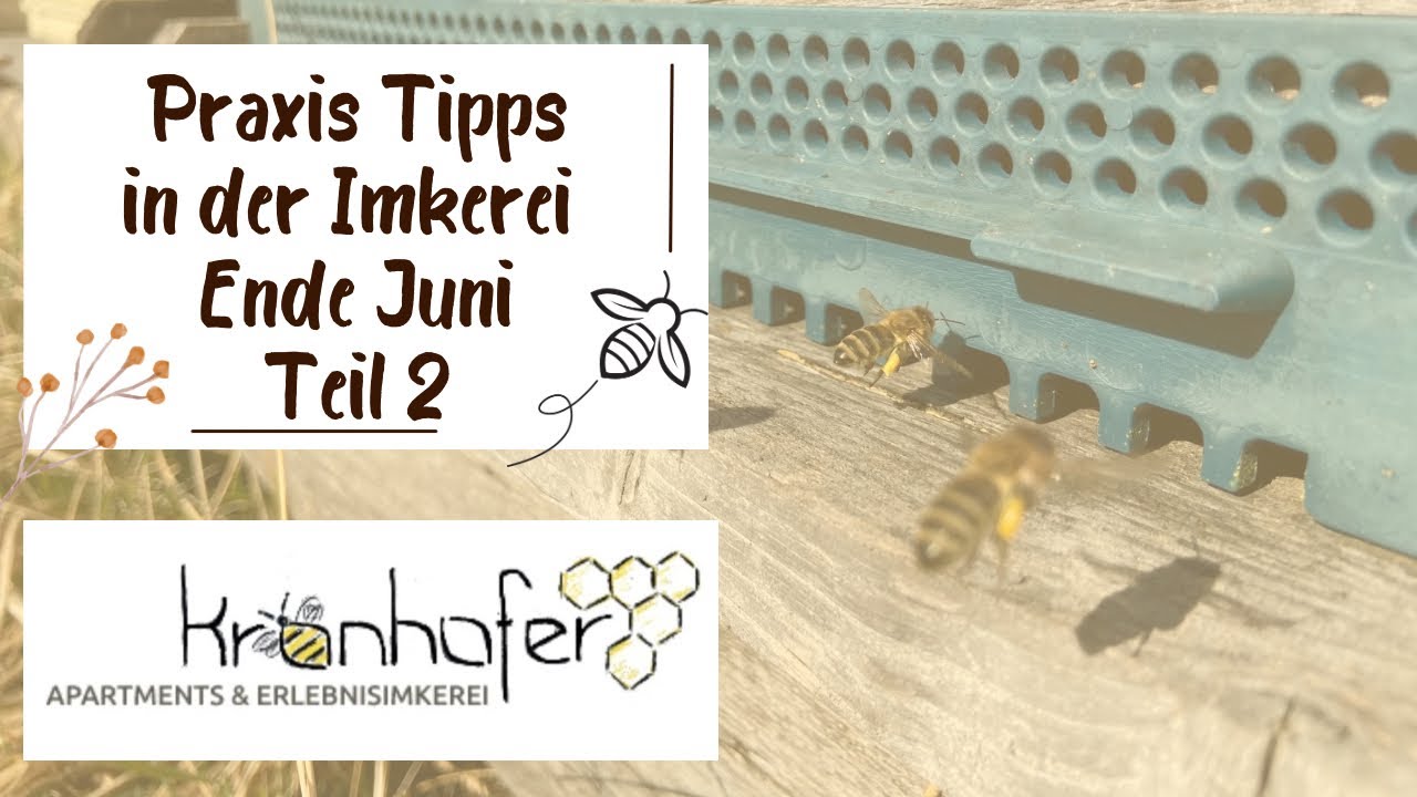 10. Praxis Tipp: Brutstopp durch Käfigen d. Königin ohne Fangwabentausch, anschl. Oxalsäureanwendung