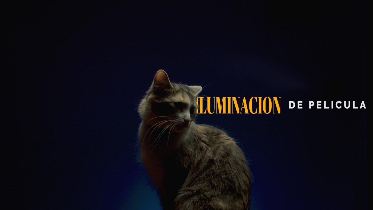 Cómo Iluminar Escenas de Película (La La Land)