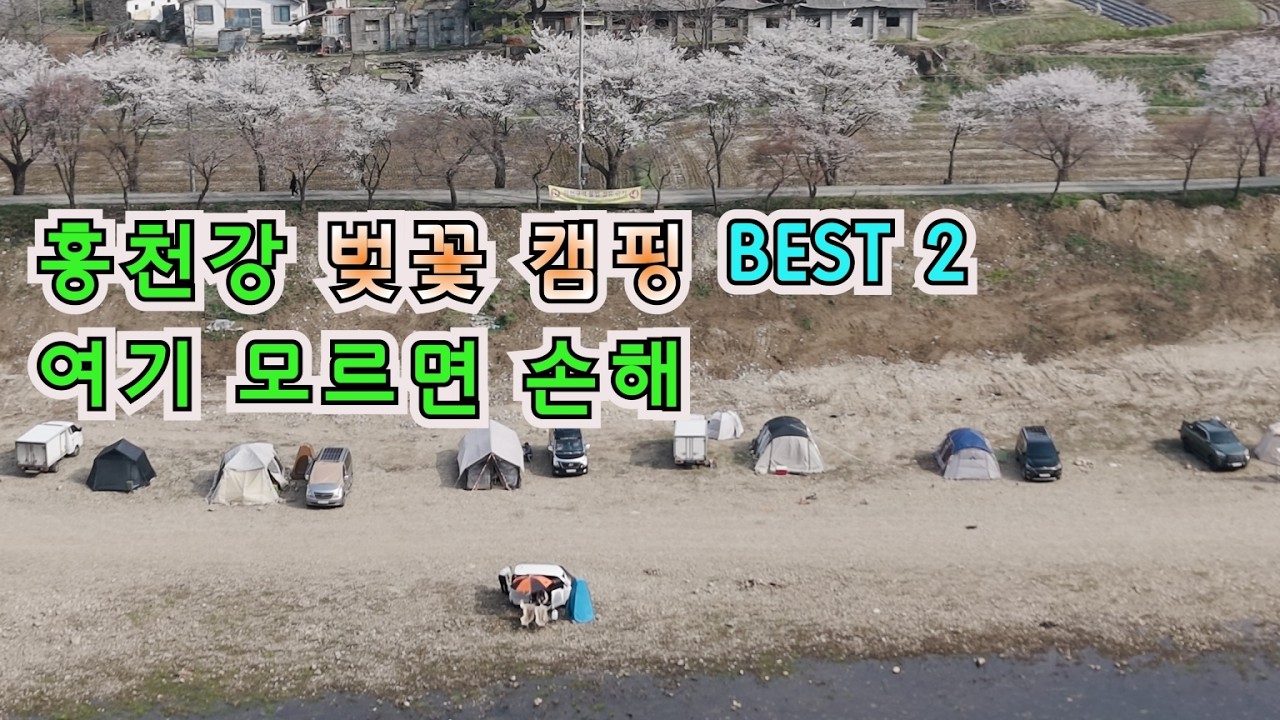 홍천강 벚꽃 캠팽 BEST 2 , 여기 모르면 손해