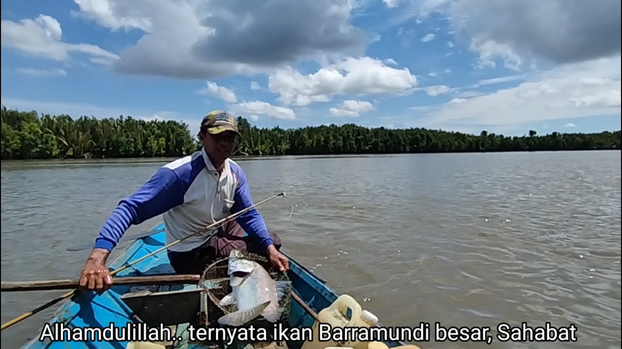 Sambaran mengejutkan ikan Barramundi besar dipinggiran Nipah, hasil langsung dijual