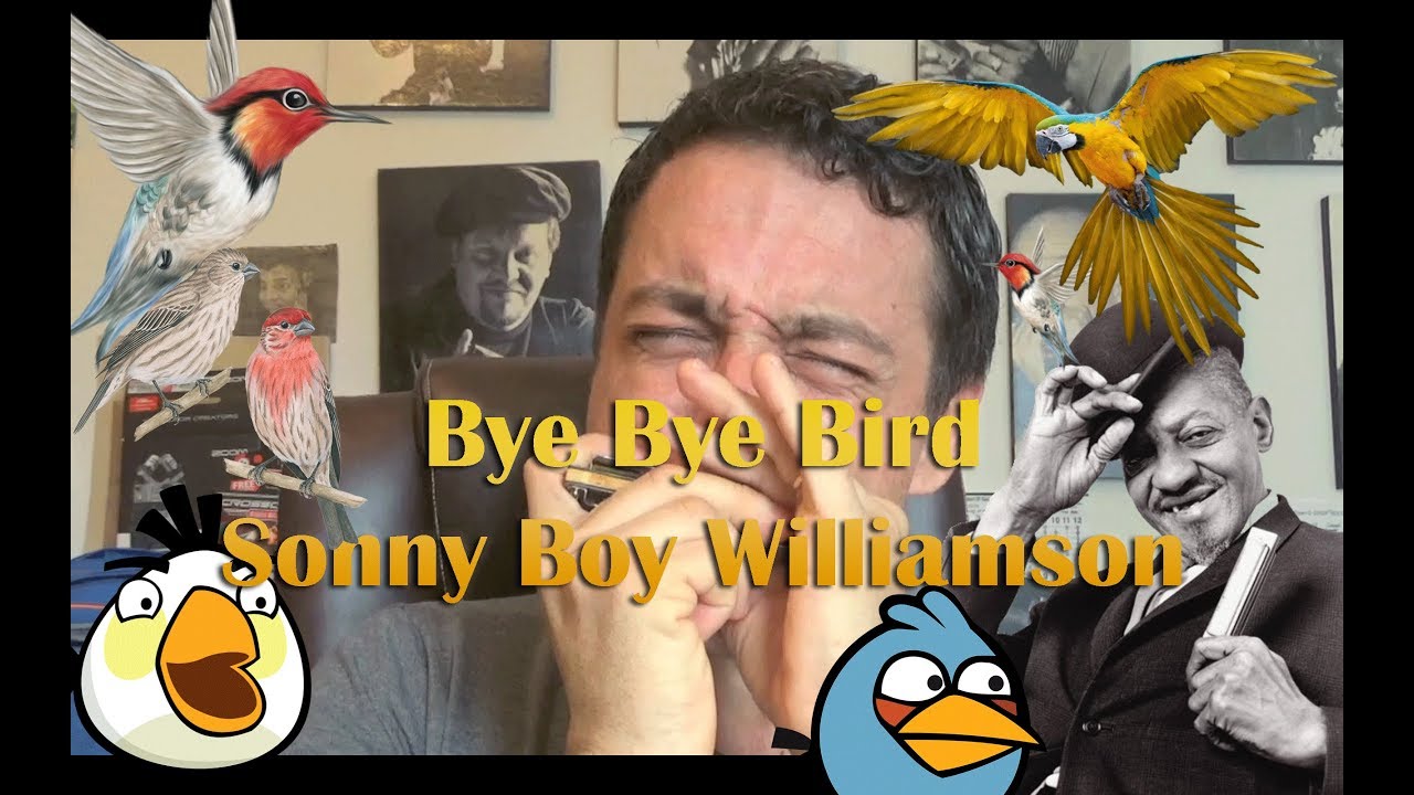 Bye Bye Bird - Sonny Boy Williamson II @ Dicas de Gaita
