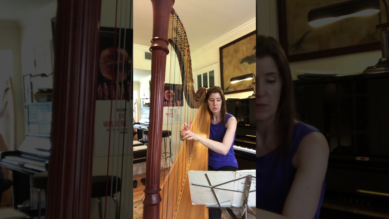 Carlos Salzedo: Tango, from Eight Dances (Harpist Laurie Meister)