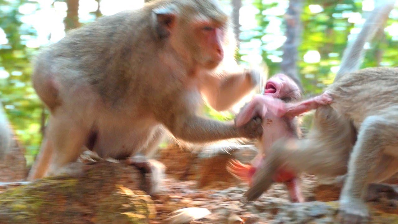 Mom, help me now..!