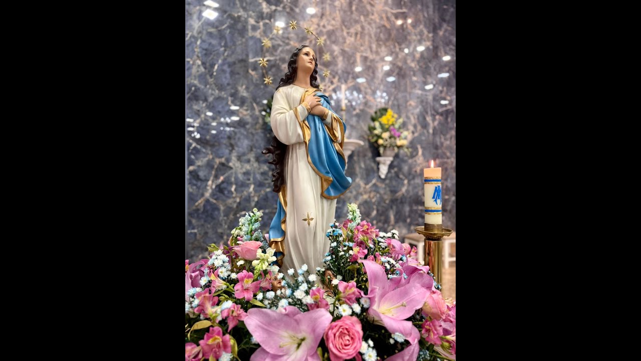 SÉTIMO DIA DE NOVENA EM  LOUVOR A NOSSA SENHORA DA CONCEIÇÃO
