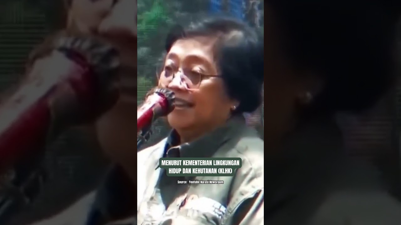 Luas kawasan hutan Indonesia mengalami penurunan. #lahan #indonesia #deforestasi #AkuGomuda #GoMuda&nbsp;