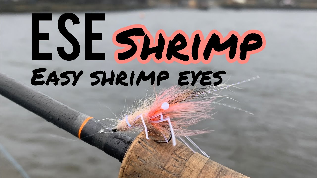 ESE Shrimp (easy shrimp eyes)
