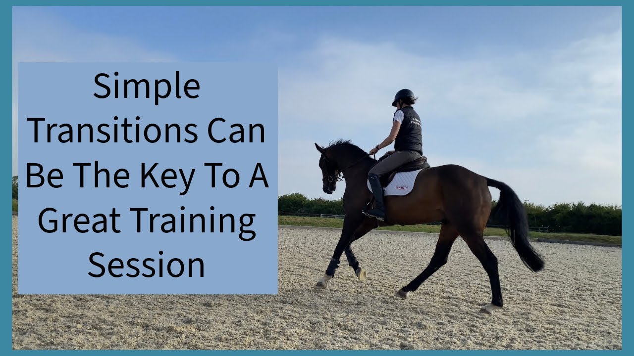 Great Dressage Training Session = Transitions | Equestrian
