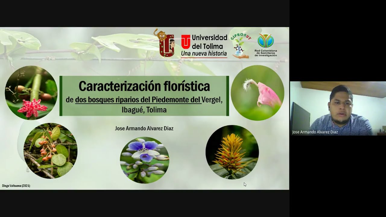 Caracterizaci&oacute;n flor&iacute;stica de dos bosques riparios del Piedemonte del Vergel, Ibagu&eacute;-Tolima.