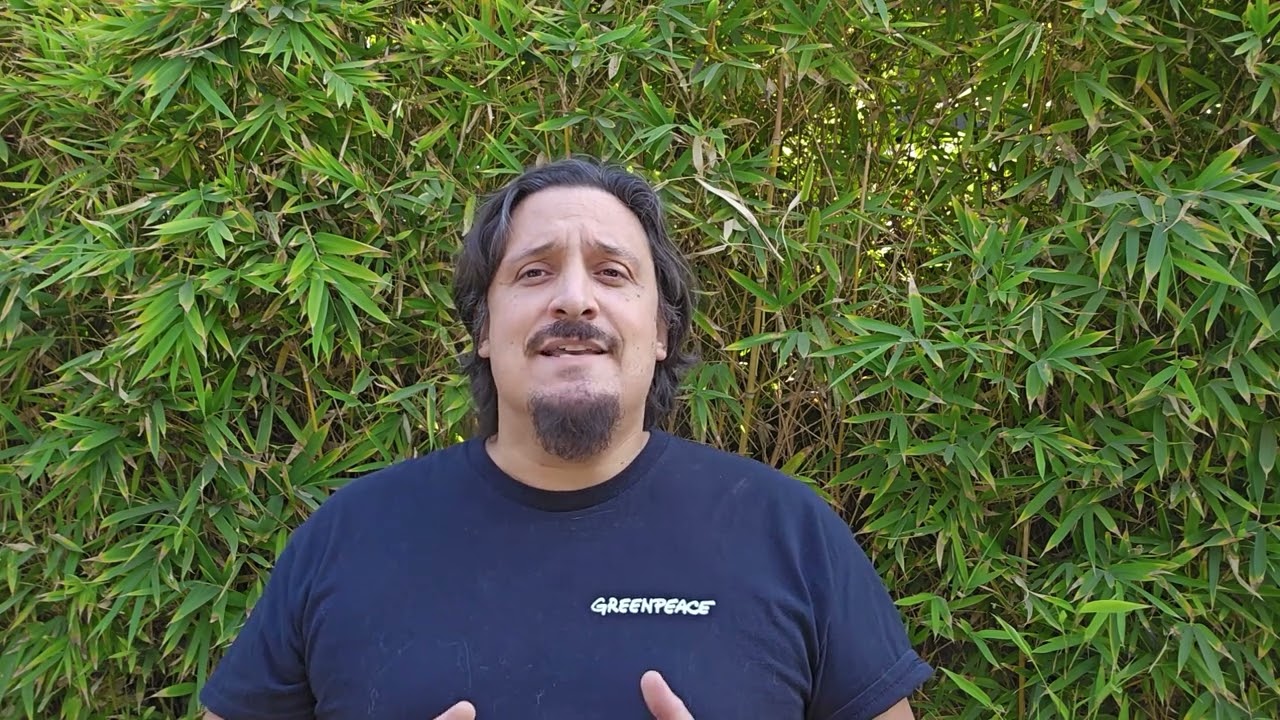 Greenpeace Chile sobre el proyecto minero Los Bronces Integrado de Anglo American