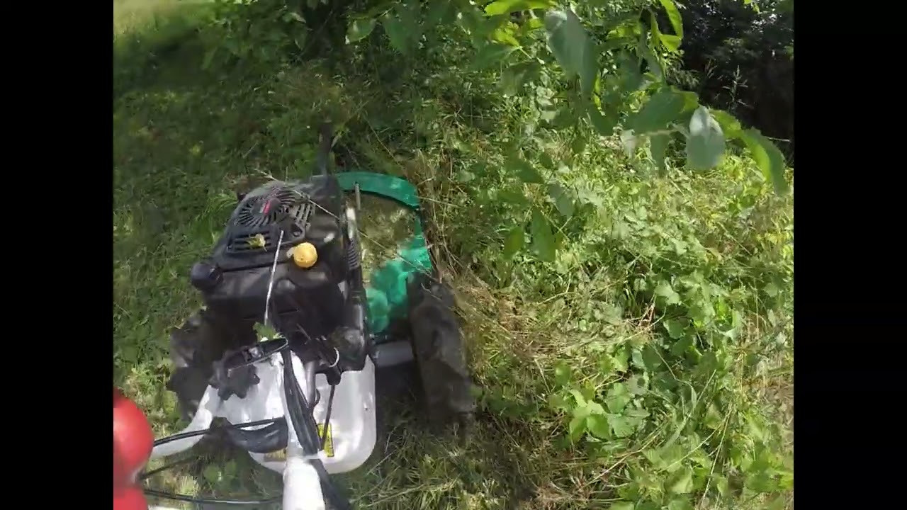 Orec SH 61 H : débroussaillage 