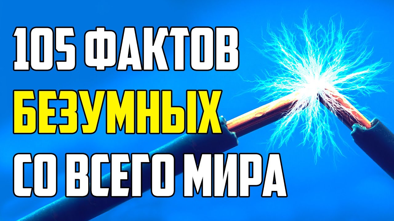 105 БЕЗУМНЫХ ФАКТОВ СО ВСЕГО МИРА