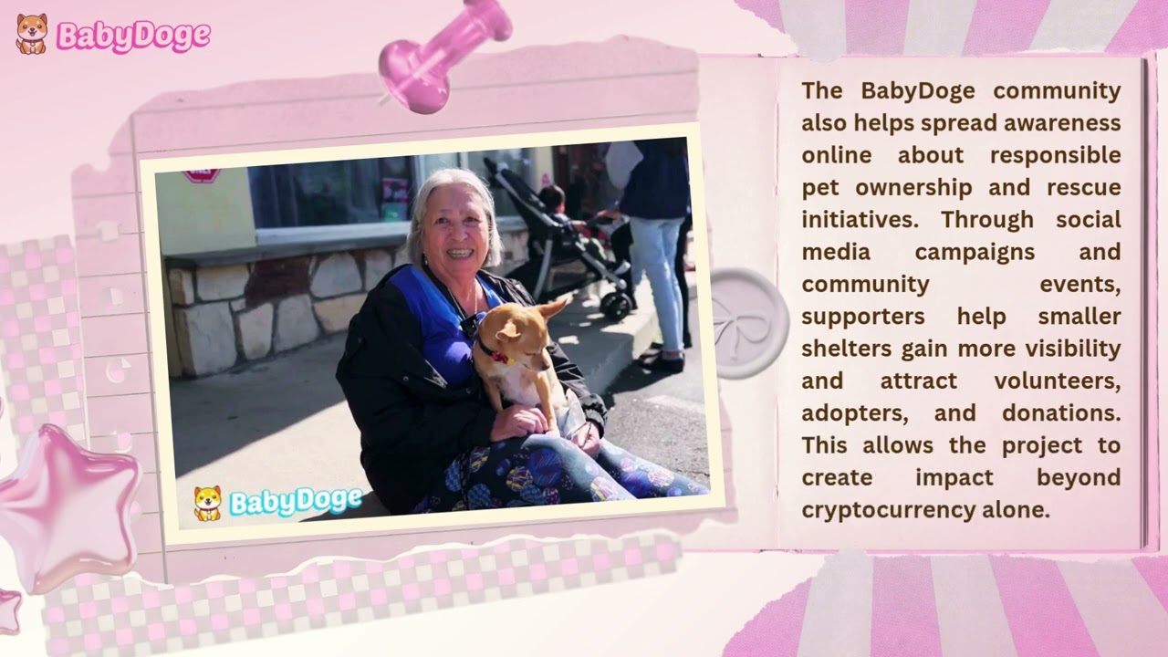 The BabyDoge Ecosystem and Mission Explained