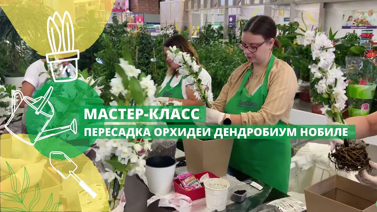 Мастер-класс: 