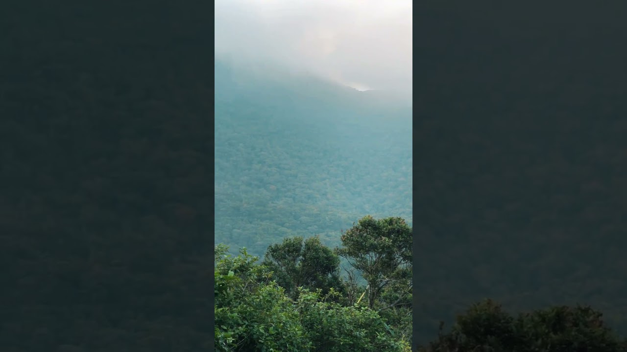 හිත නිවන තැන්❤️☘️ Adam's peak | ශ්‍රී පාදය