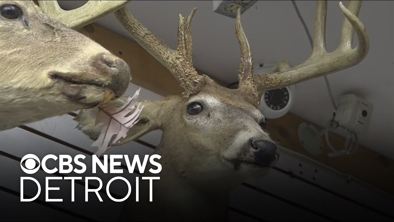 Here's what to know about Michigan's 2025 deer hunting season