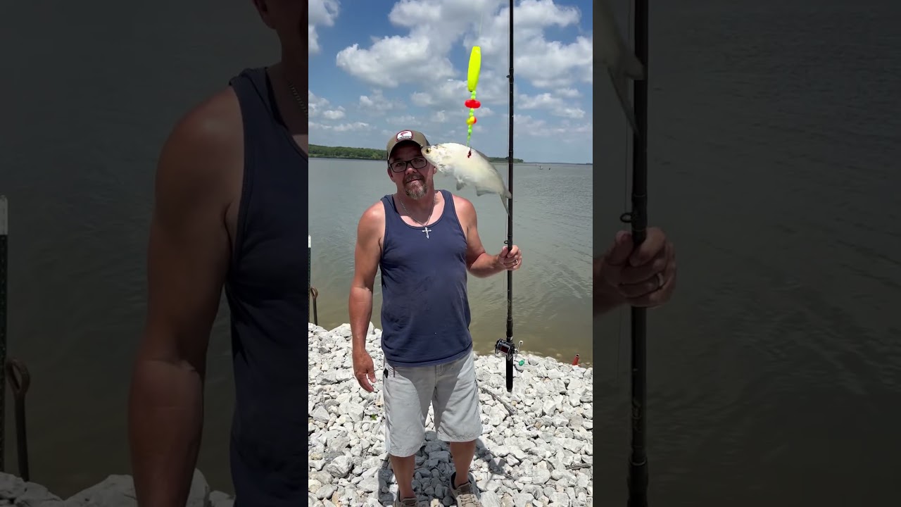 Search for monster catfish with gizzard shad. Fishing lake Texoma.