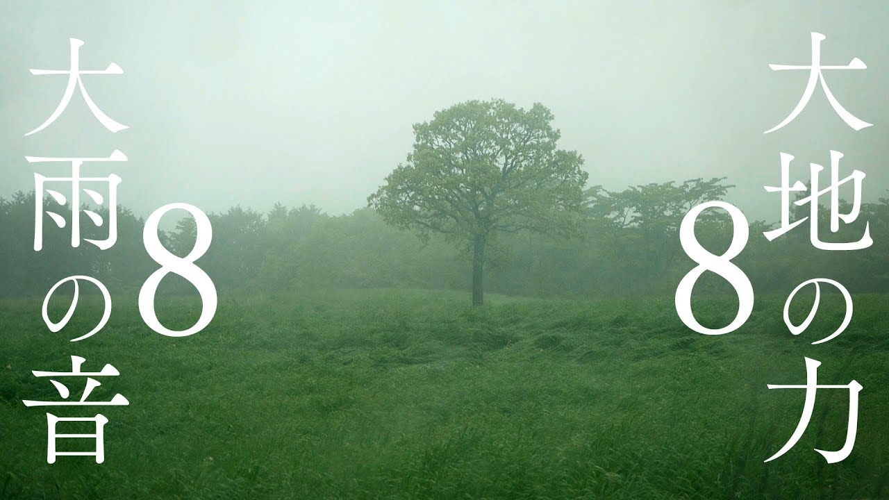 【大雨の浄化と大地の力8時間】雨の音を聴くだけで心身浄化＆エネルギーチャージできるパワースポット自然音【富士山グラウンディング】Relaxing Heavy Rain Sounds