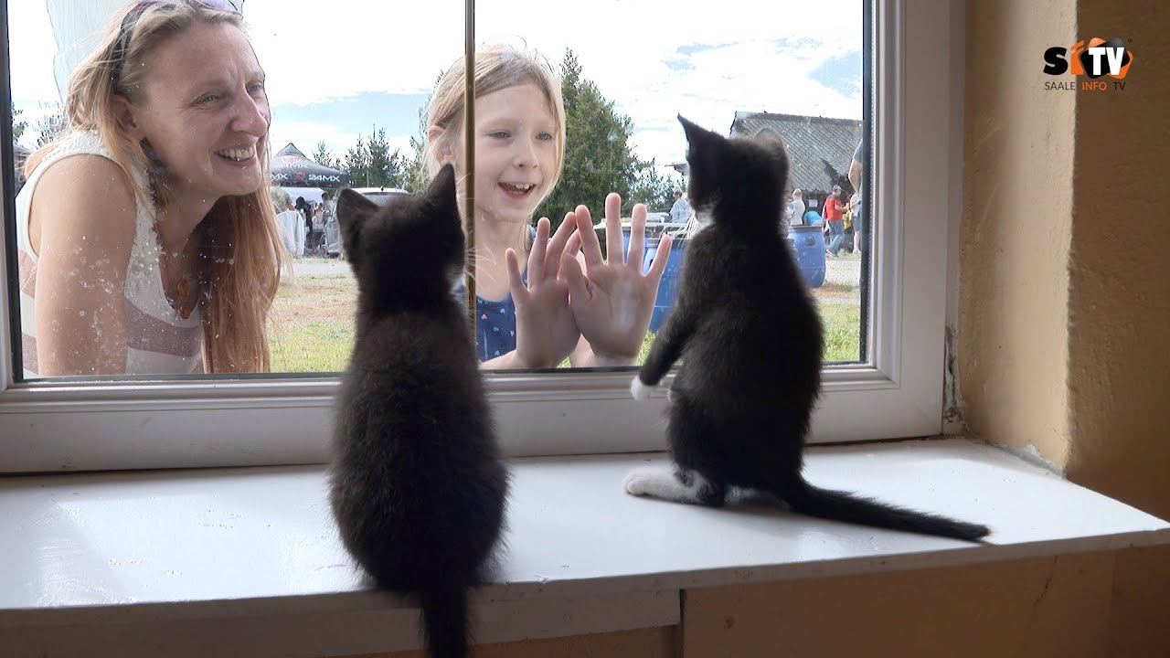 Zum Weltkindertag feierte man im Tierheim in Schleiz heute das Sommerfest.