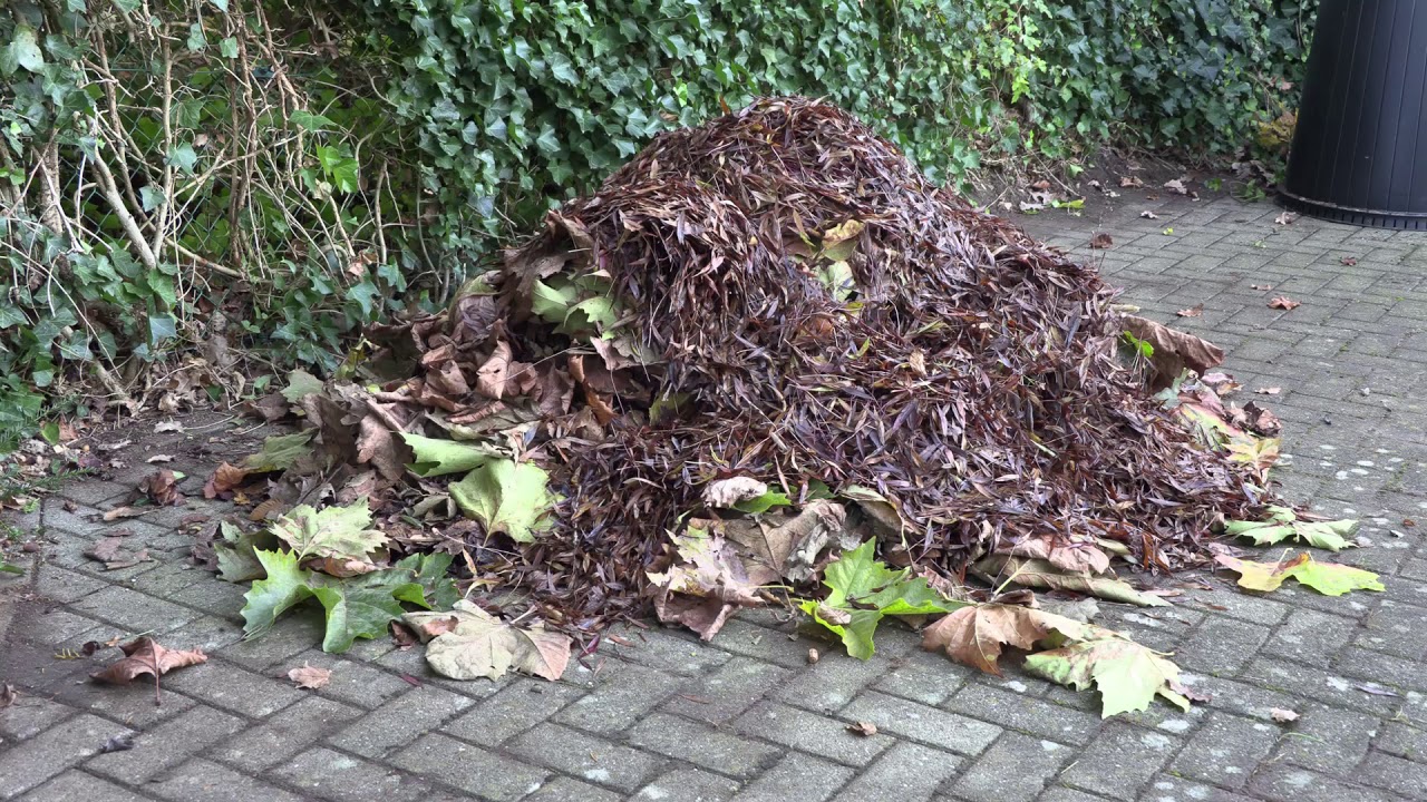 Recycler les feuilles en automne